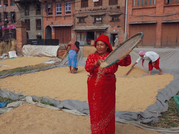 Woman In Red Dress Filtering Grains