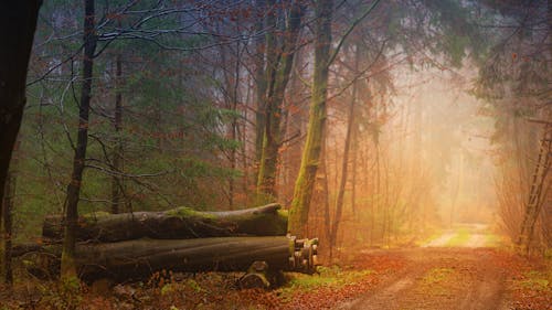 Δωρεάν στοκ φωτογραφιών με 4k ταπετσαρία, αρχεία καταγραφής, αυγή