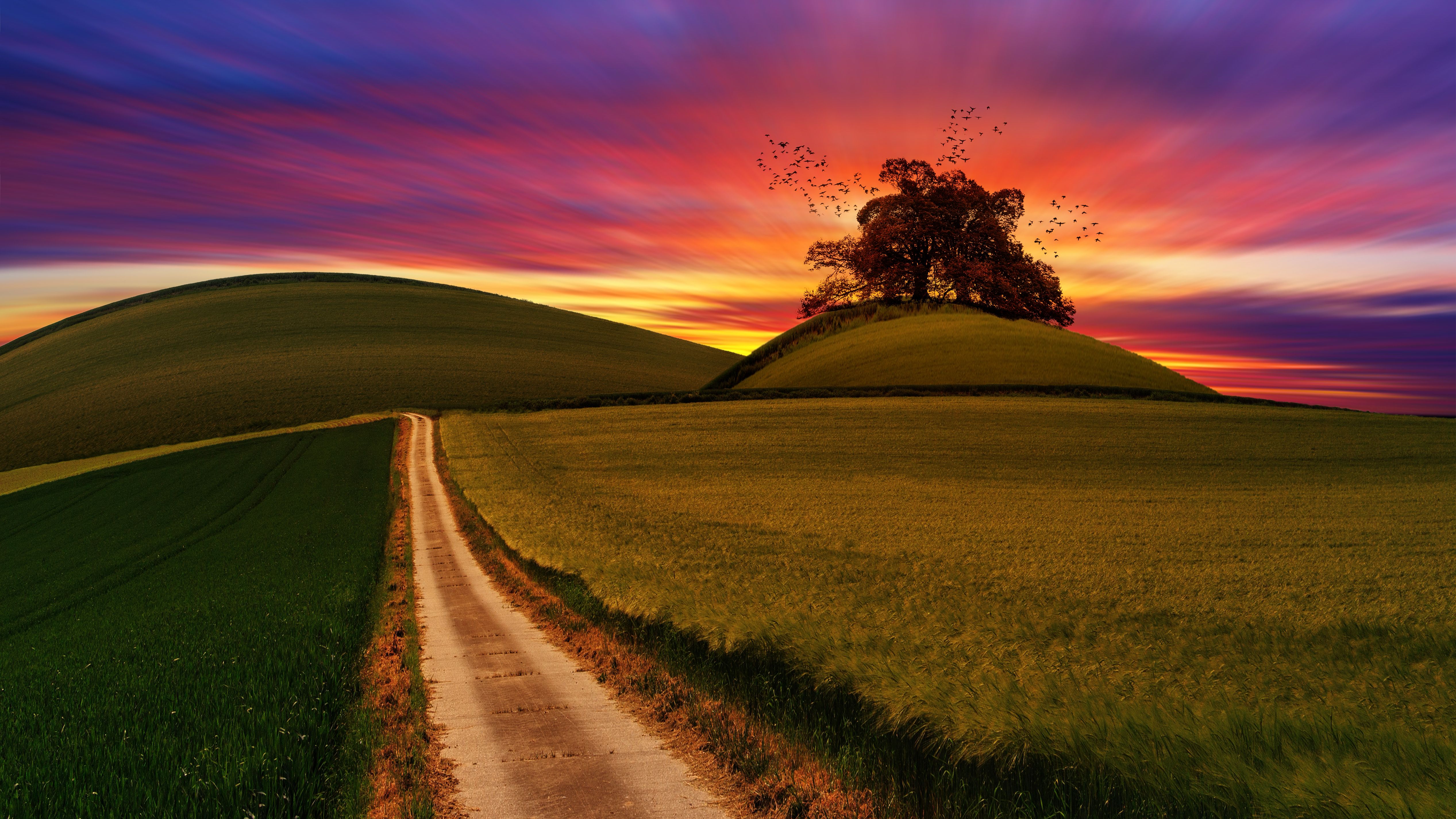 1000+ Layar Hijau Foto · Pexels · Foto Stok Gratis