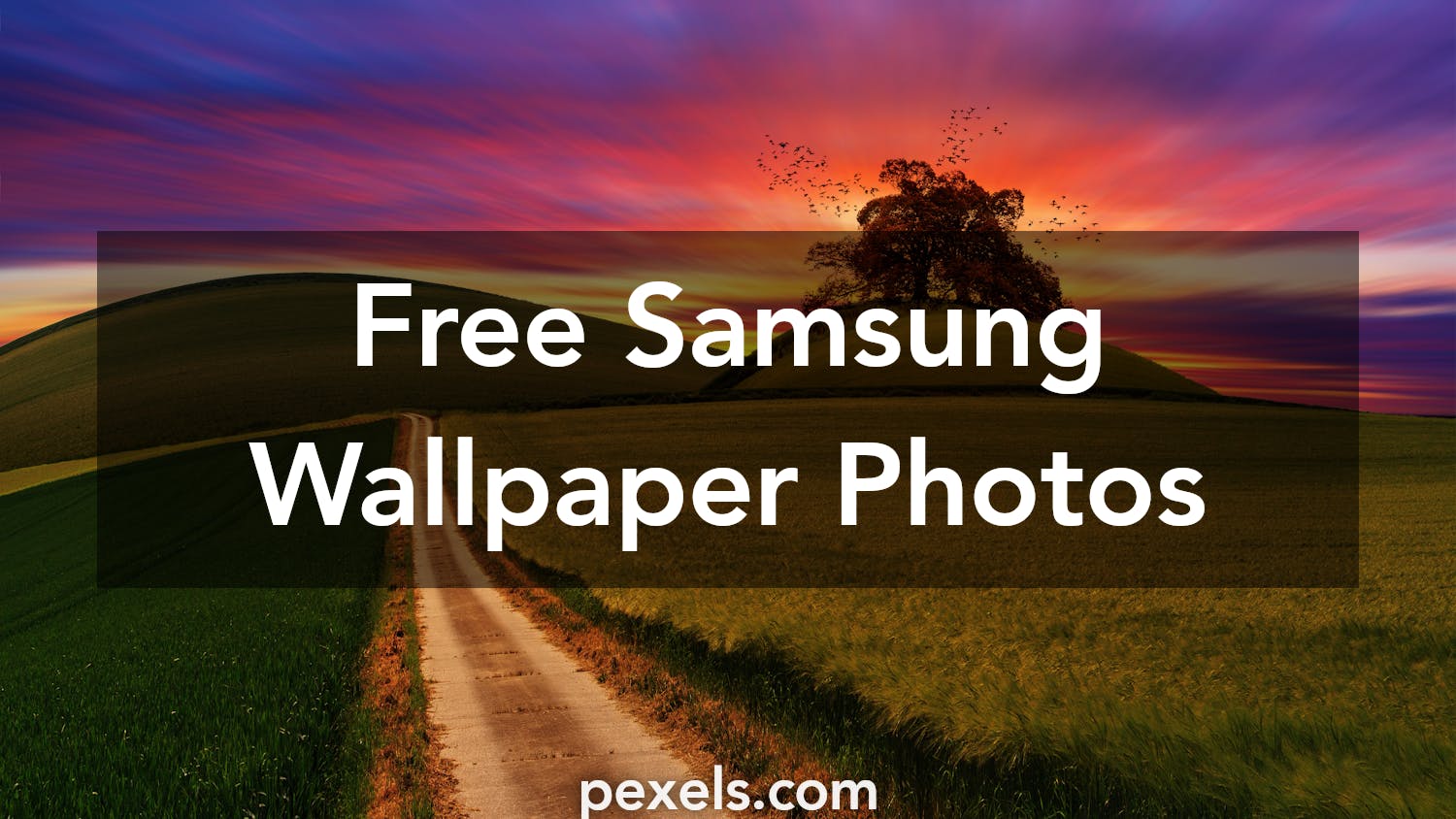 Samsung Wallpapers Pexels Free Stock Photos
