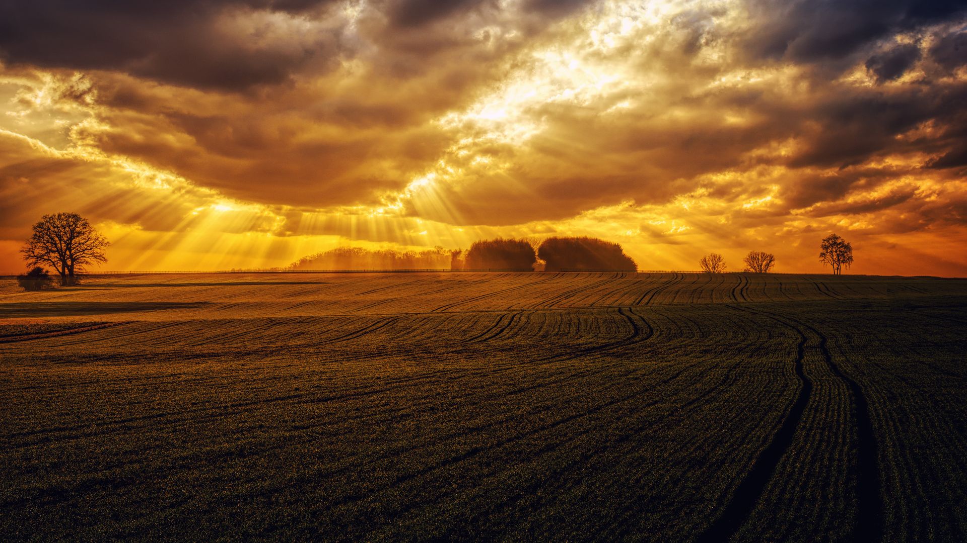Dramatic sunset with sunrays over a vast rural field creating a warm, golden landscape.