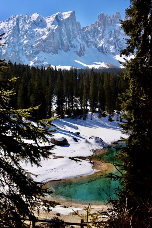 Foto d'estoc gratuïta de bosc, geologia, muntanyes