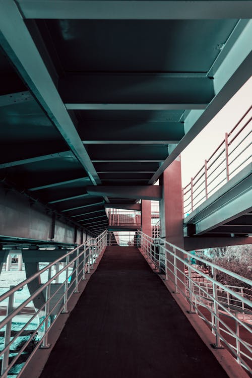 Closeup Photo of Empty Pathway