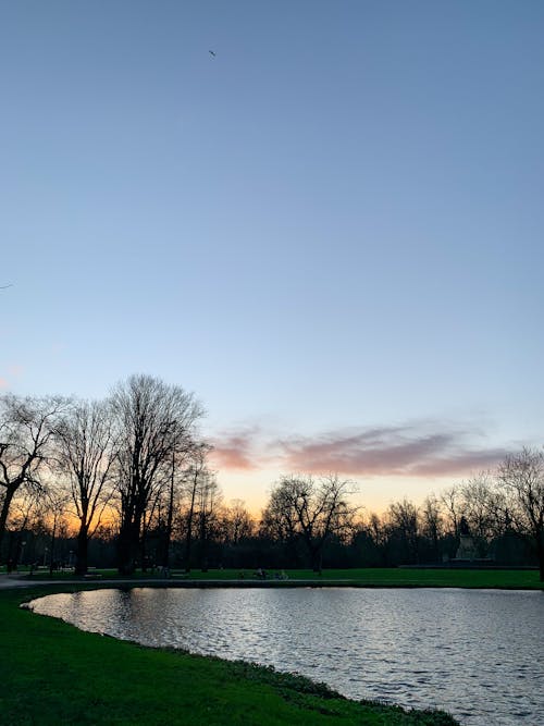 Sunset Over a Park 