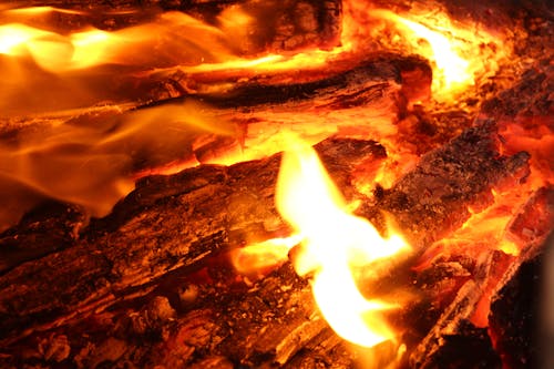 Kostnadsfri bild av brand, grilla, träkol