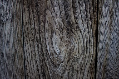 Free Close-up view of detailed wooden texture, showcasing natural patterns and rustic charm. Stock Photo