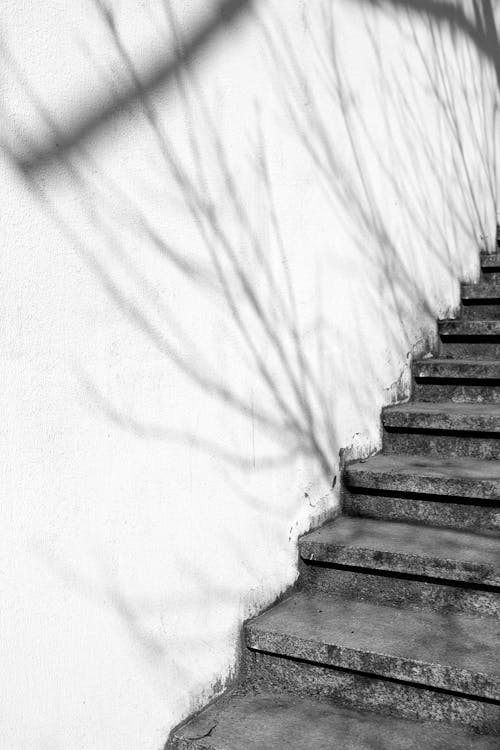 Základová fotografie zdarma na téma černobílý, jednobarevný, schodiště