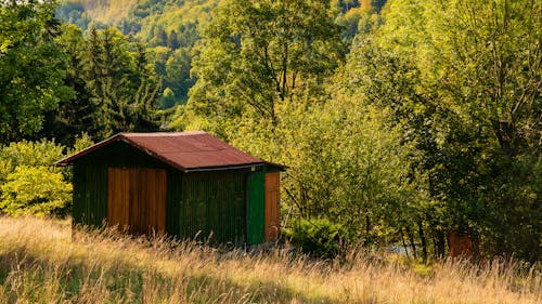 Gratis lagerfoto af hytte, skov, skur