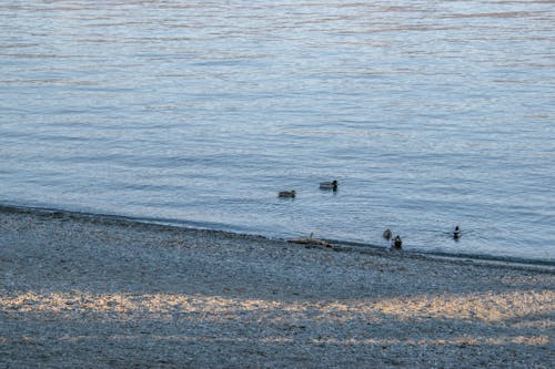 Free Gratis stockfoto met boot, buiten, buitenshuis Stock Photo