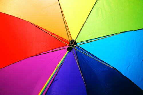 Free Multicolored Umbrella Stock Photo