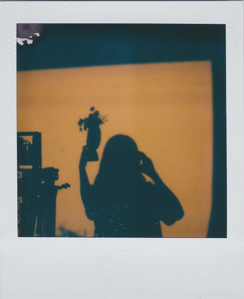 Free Artistic silhouette of a woman with flowers, creating a vintage and warm ambiance. Stock Photo