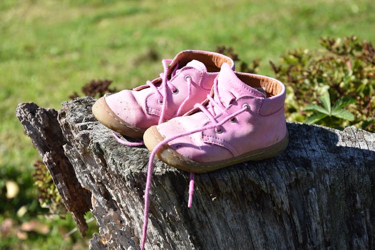 Pair Of Pink Shoes On Tree Trunk