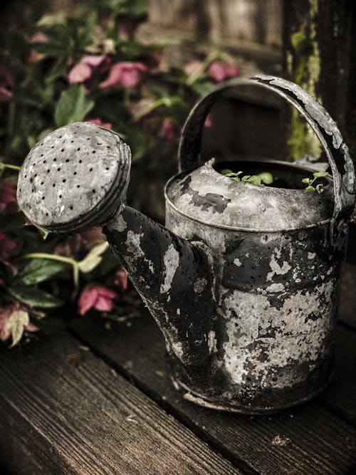 Clos Up Photo of a Watering Can