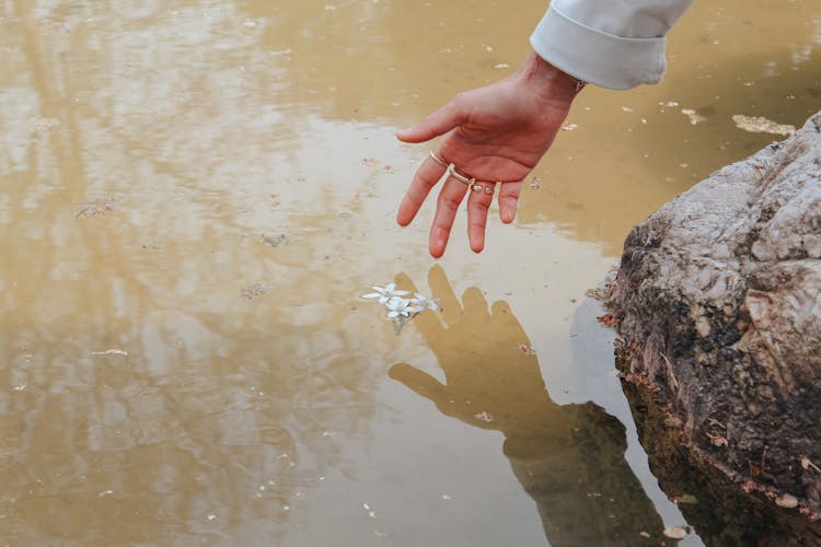 Person Reaching On Floating Flower