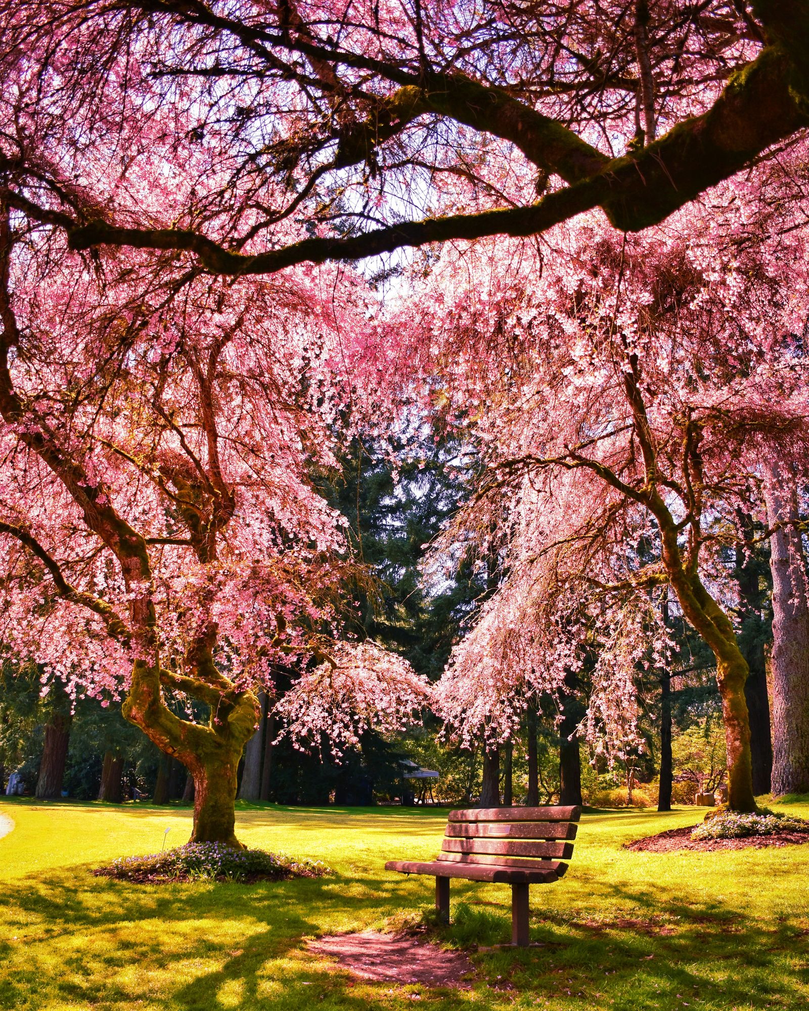 Vancouver Westside Real Estate Market Update — Spring 2025