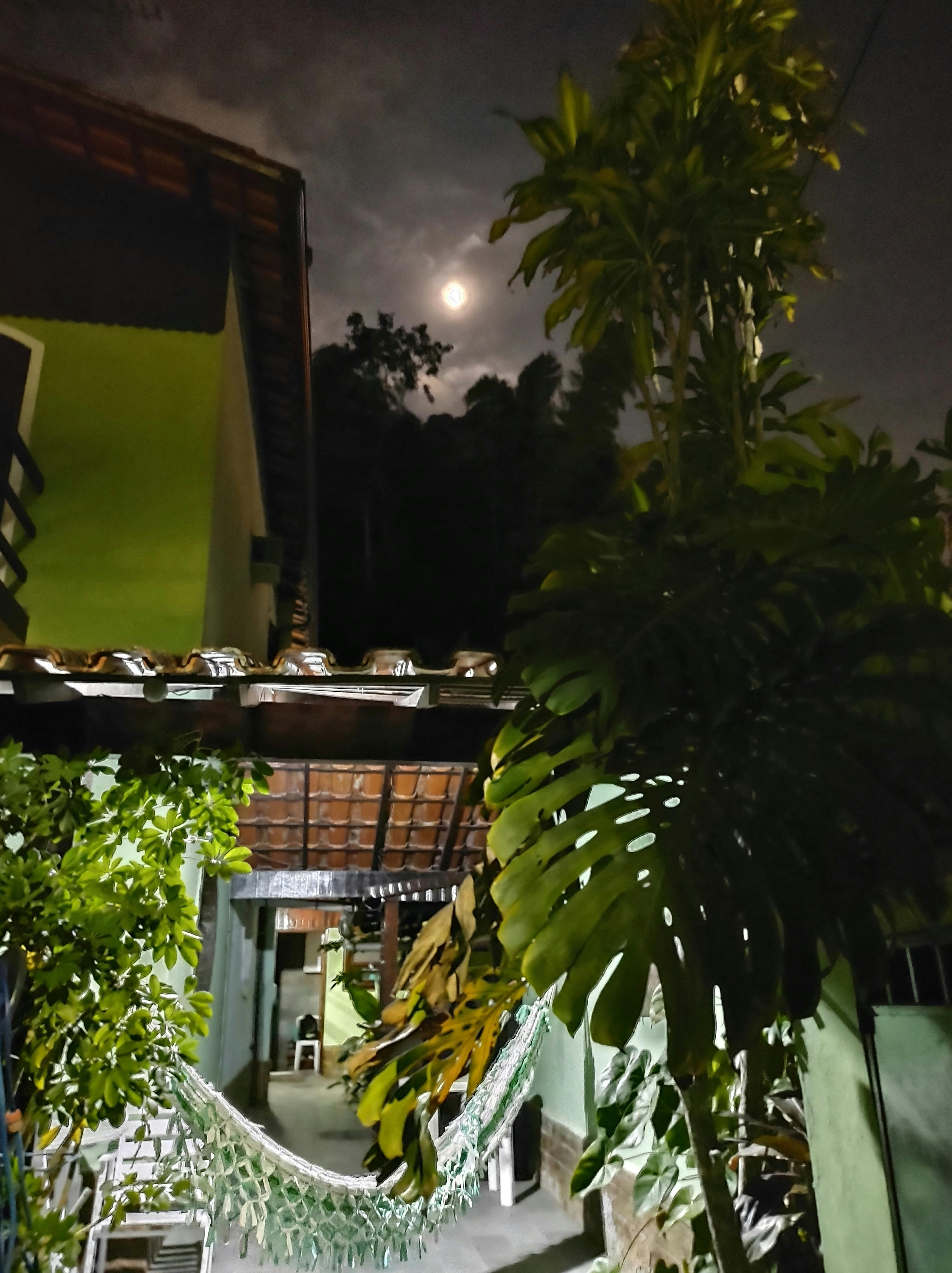 Free stock photo of green, home, moon