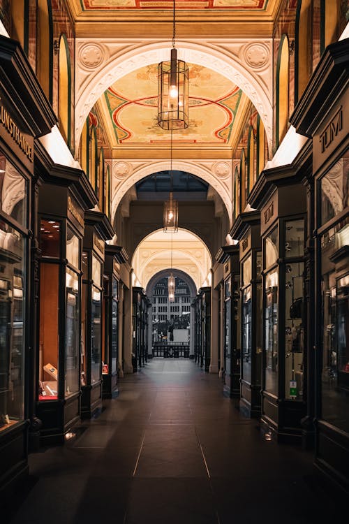 Passage with Ceiling Lamps and Wooden Display Cabinets