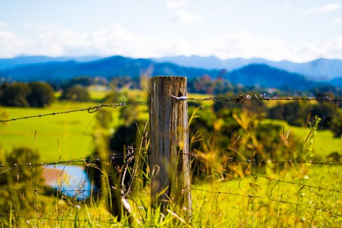 Shallow Focus Photography of Brown Wooden Pole With Grey Barb Wires