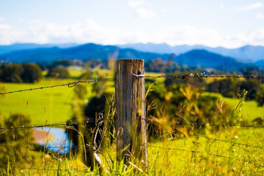夏季的乡村风景优美，有山脉、田野和质朴的栅栏