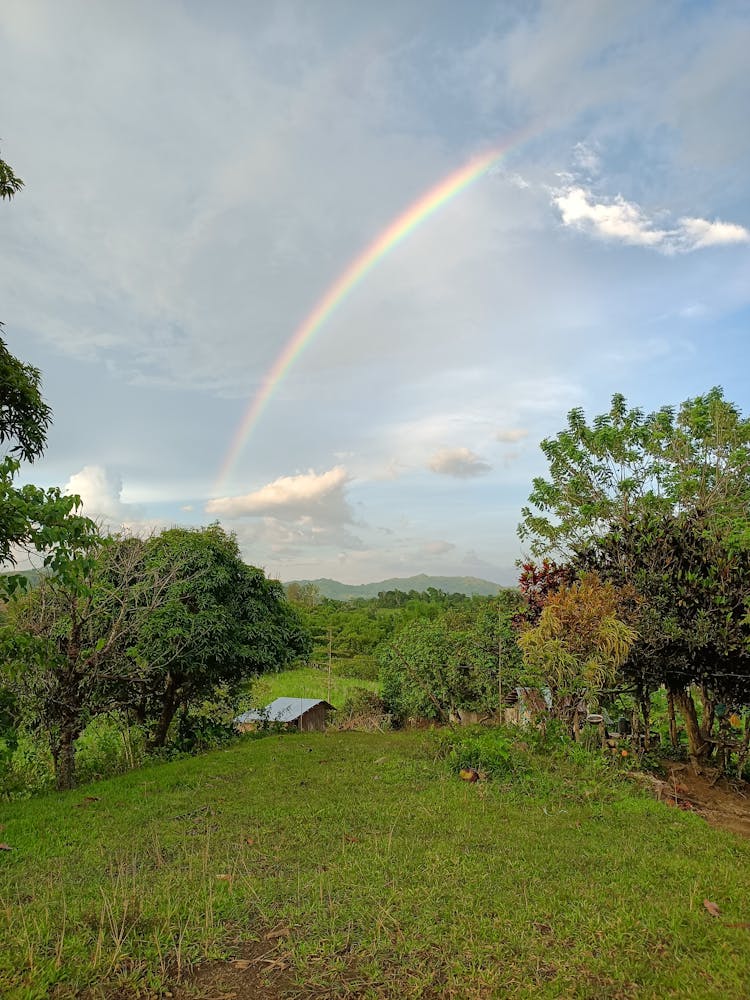 Rainbow Over A Farmland