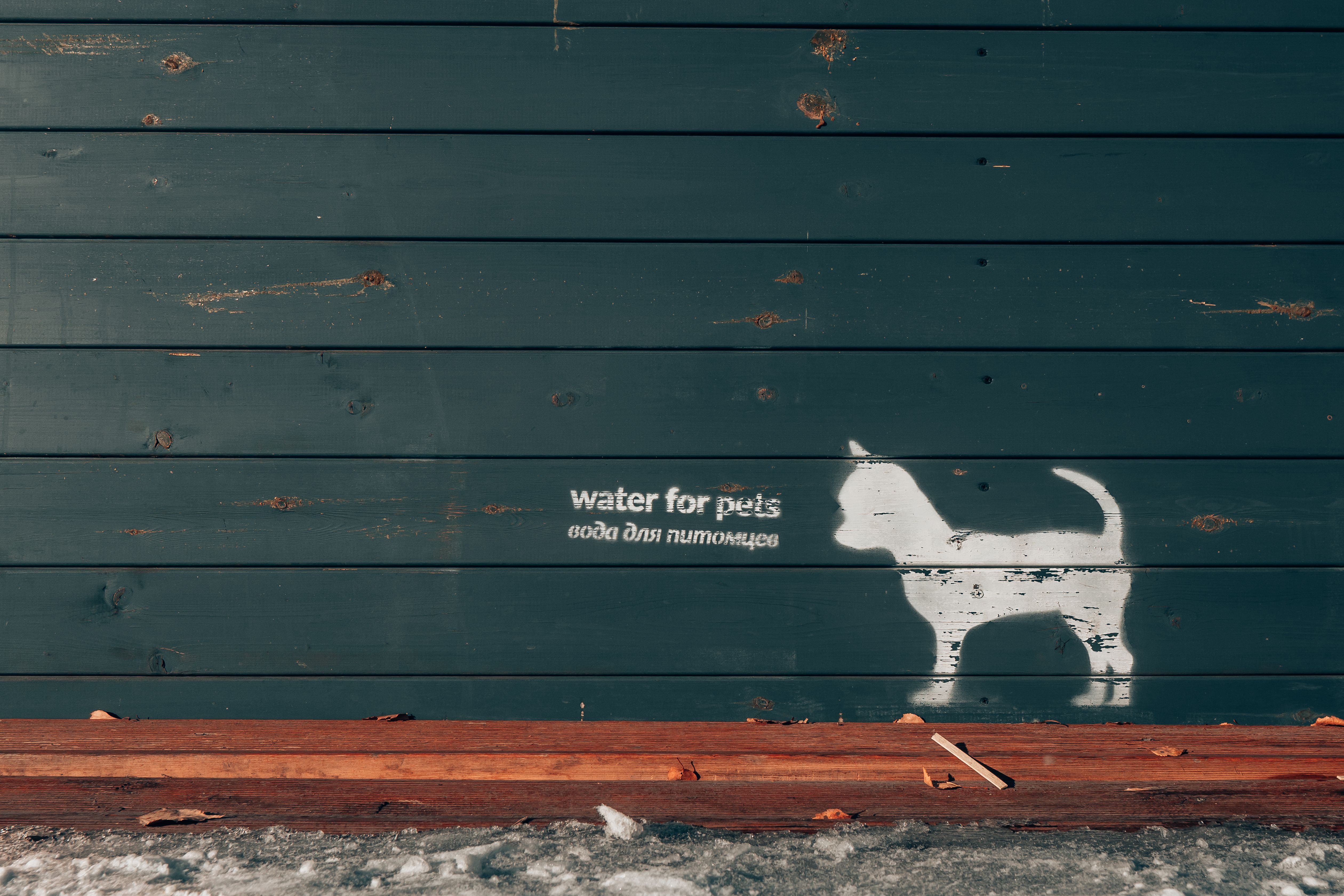 Stencil art of a dog with 'water for pets' text on a rustic wooden wall.