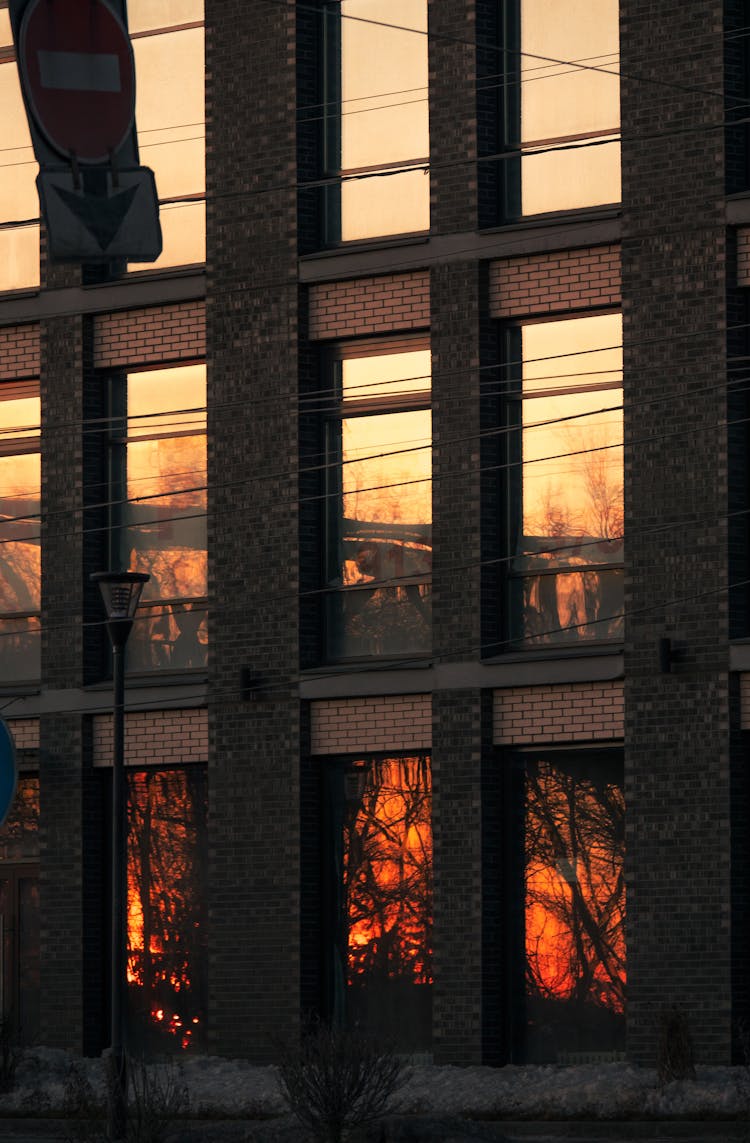 Burning Trees Near A Building