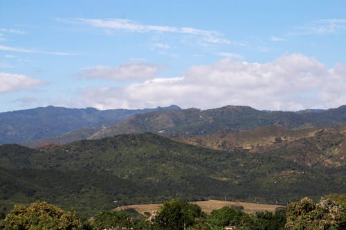 Ingyenes stockfotó dombok, erdő, hegyek témában Stockfotó