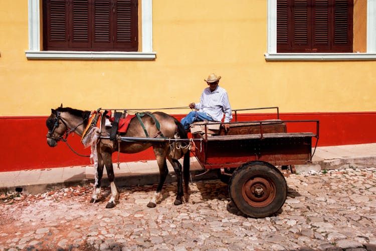 Man Sitting On A Wagon