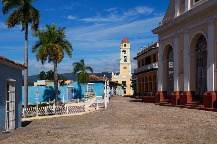 View Of The Resort With Palm Trees