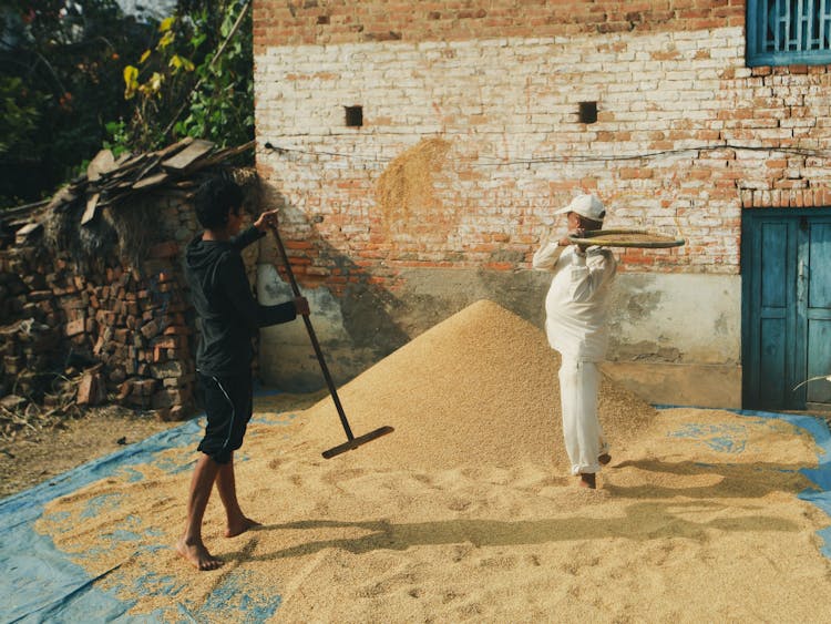 Men Cleaning Grain In Backyard