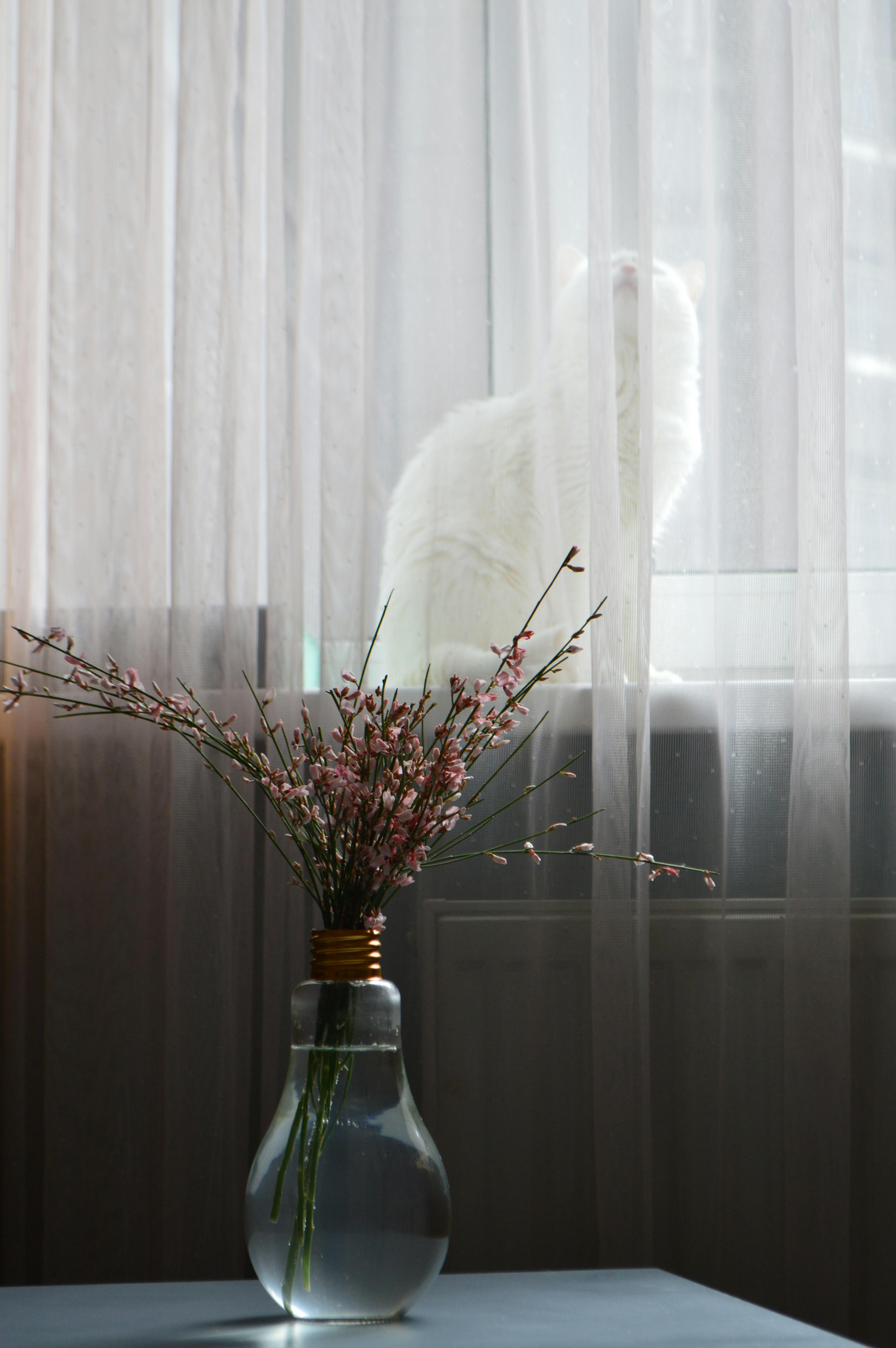 IS THERE REPLACEMENT FOR CAT ON WINDOWS visual data 3