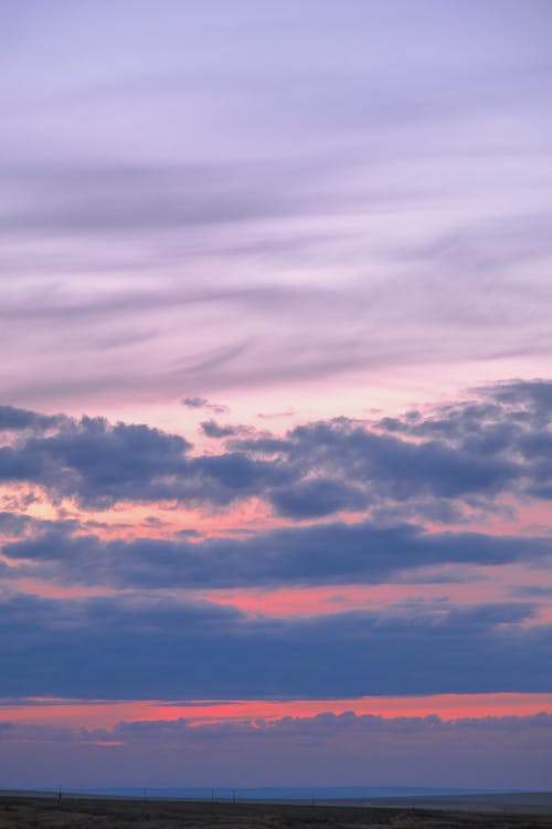 Gratis lagerfoto af aften, lilla himmel, lodret skud