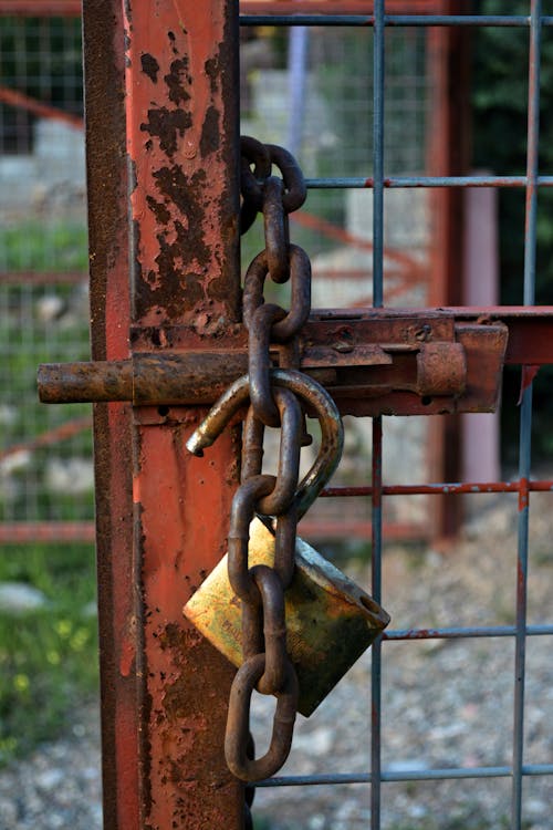 Free stock photo of chain, chain link, closed Stock Photo