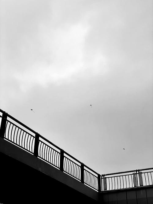 Black and White Photography of Railing and Three Kites Against the Sky