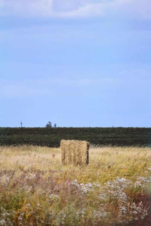 Free Scenic rural field featuring a solitary hay bale under a clear blue sky. Stock Photo