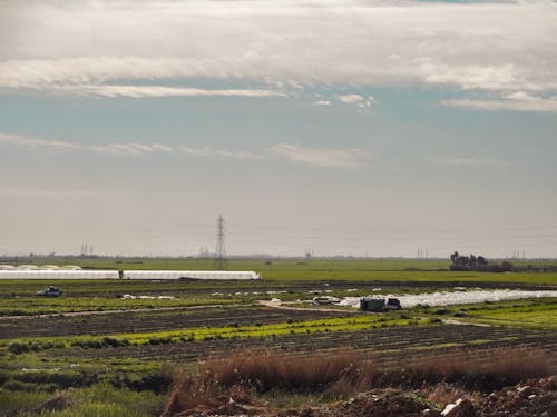 Foto stok gratis agrikultura, awan, bidang