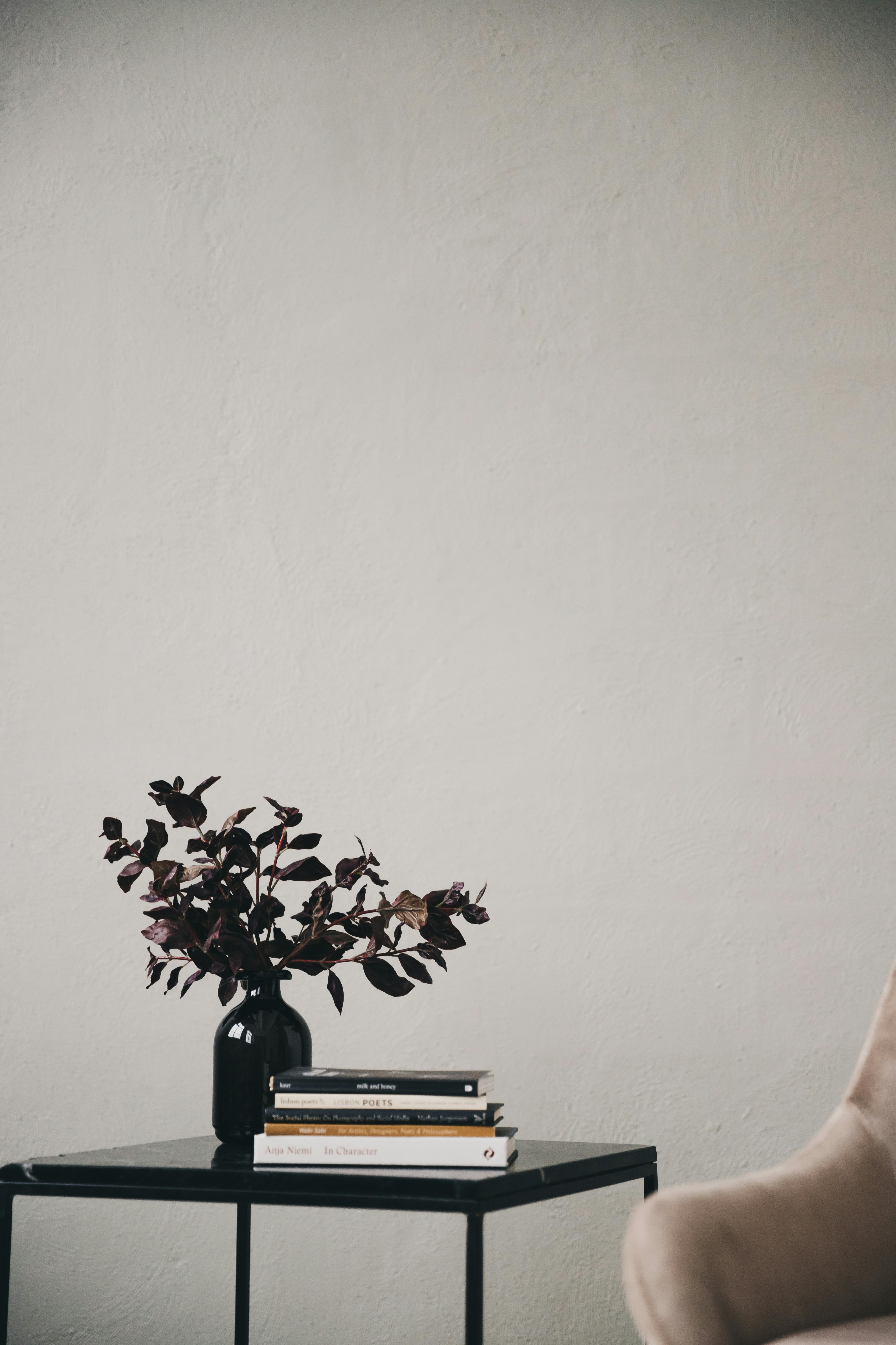 Free A minimalist scene featuring a vase with flowers, books on a side table against a white wall. Stock Photo