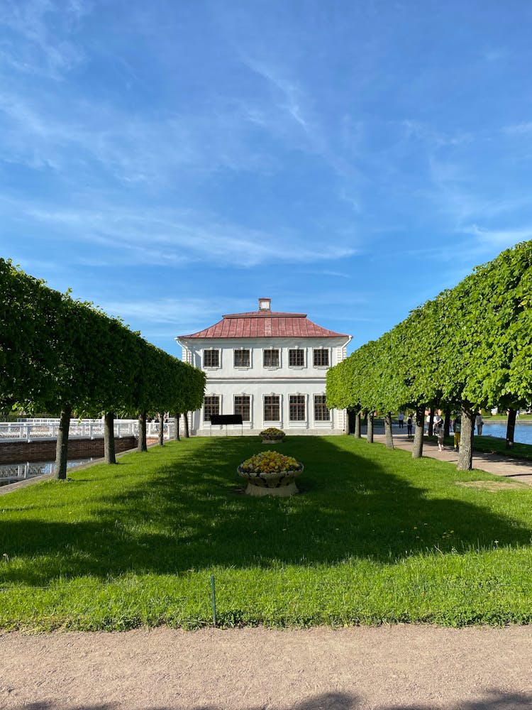 Row Of Trees Along Grass Patch In Garden