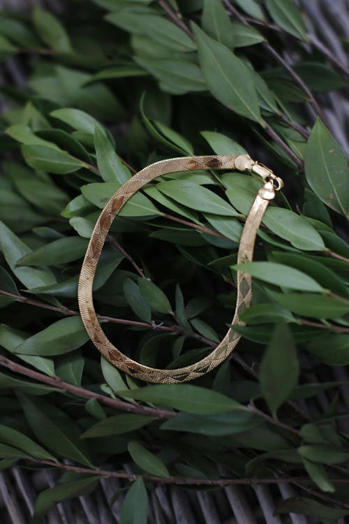 Free stock photo of bracelet, bracelets, dark green leaves