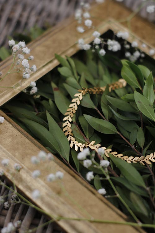 Gold Necklace on Dark Green Leaves in Wooden Frame