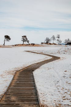 A winding wooden pathway cuts through a serene snowy landscape, under a clear winter sky.
