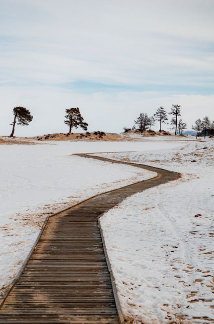 A winding wooden pathway cuts through a serene snowy landscape, under a clear winter sky.