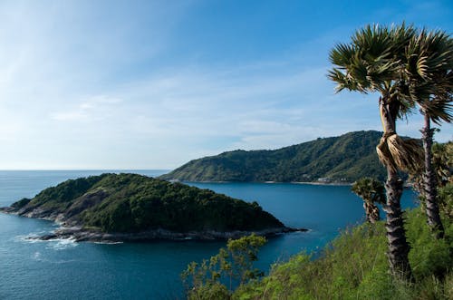 Immagine gratuita di alberi, cielo azzurro, isola