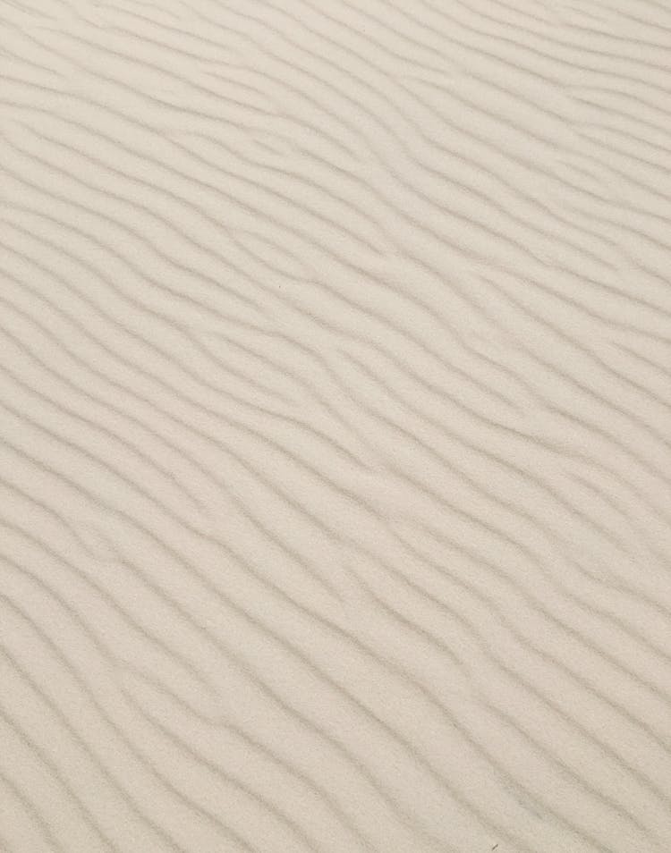 Texture Of Pale Sand