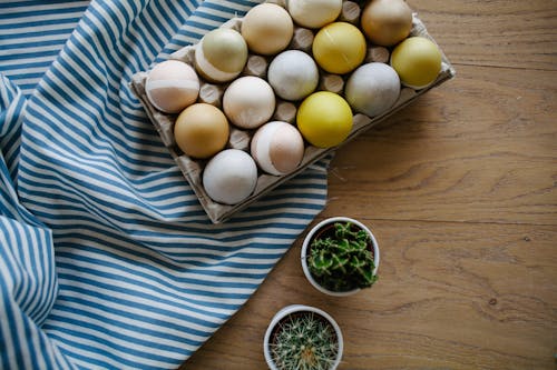 Free An Eggs on the Tray Near the Plants Stock Photo