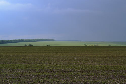 Gratis stockfoto met akkerland, blauwe lucht, boerderij Stockfoto