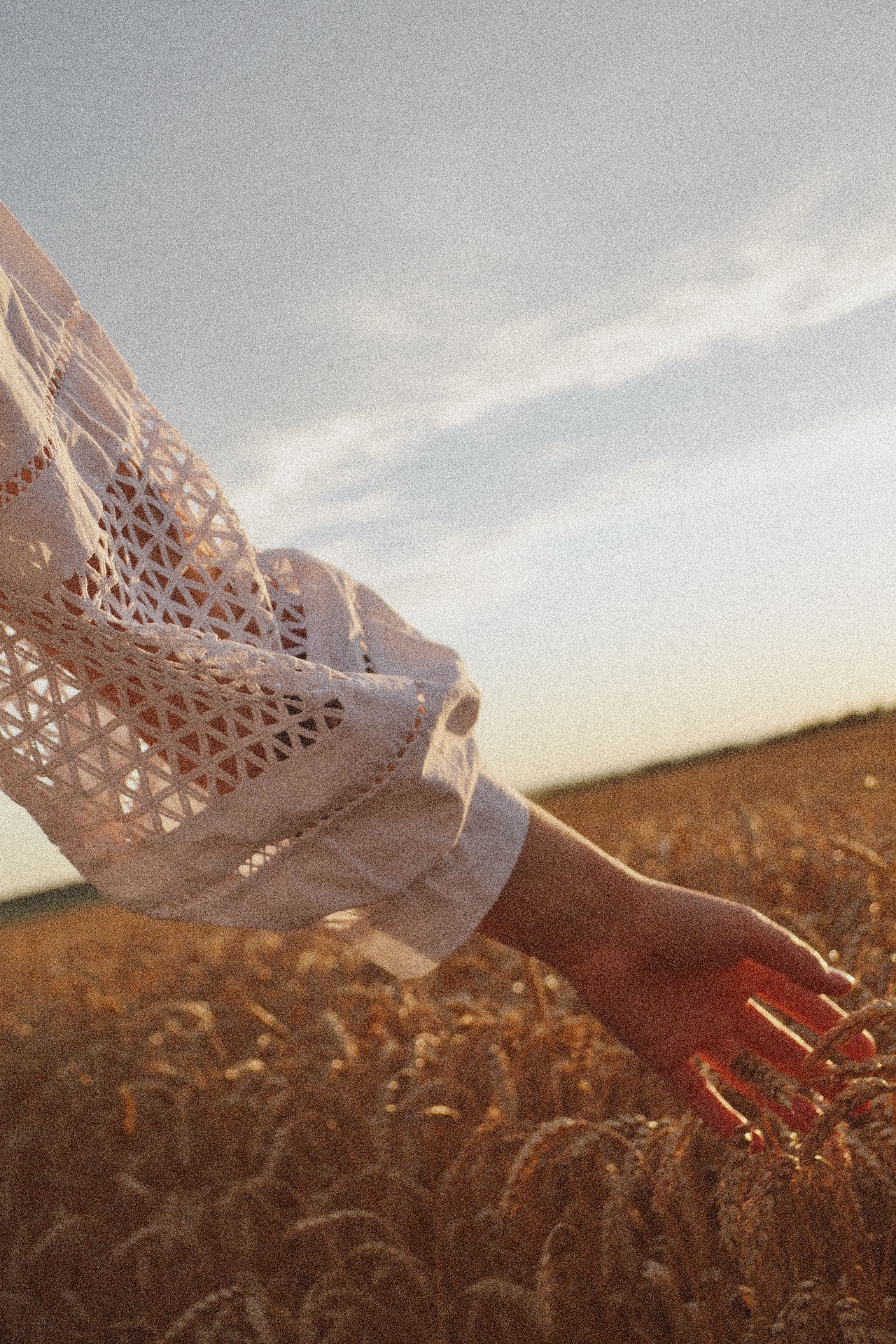 Close-up of a hand in a white sleeve gently touching golden wheat in a sunset-lit field.