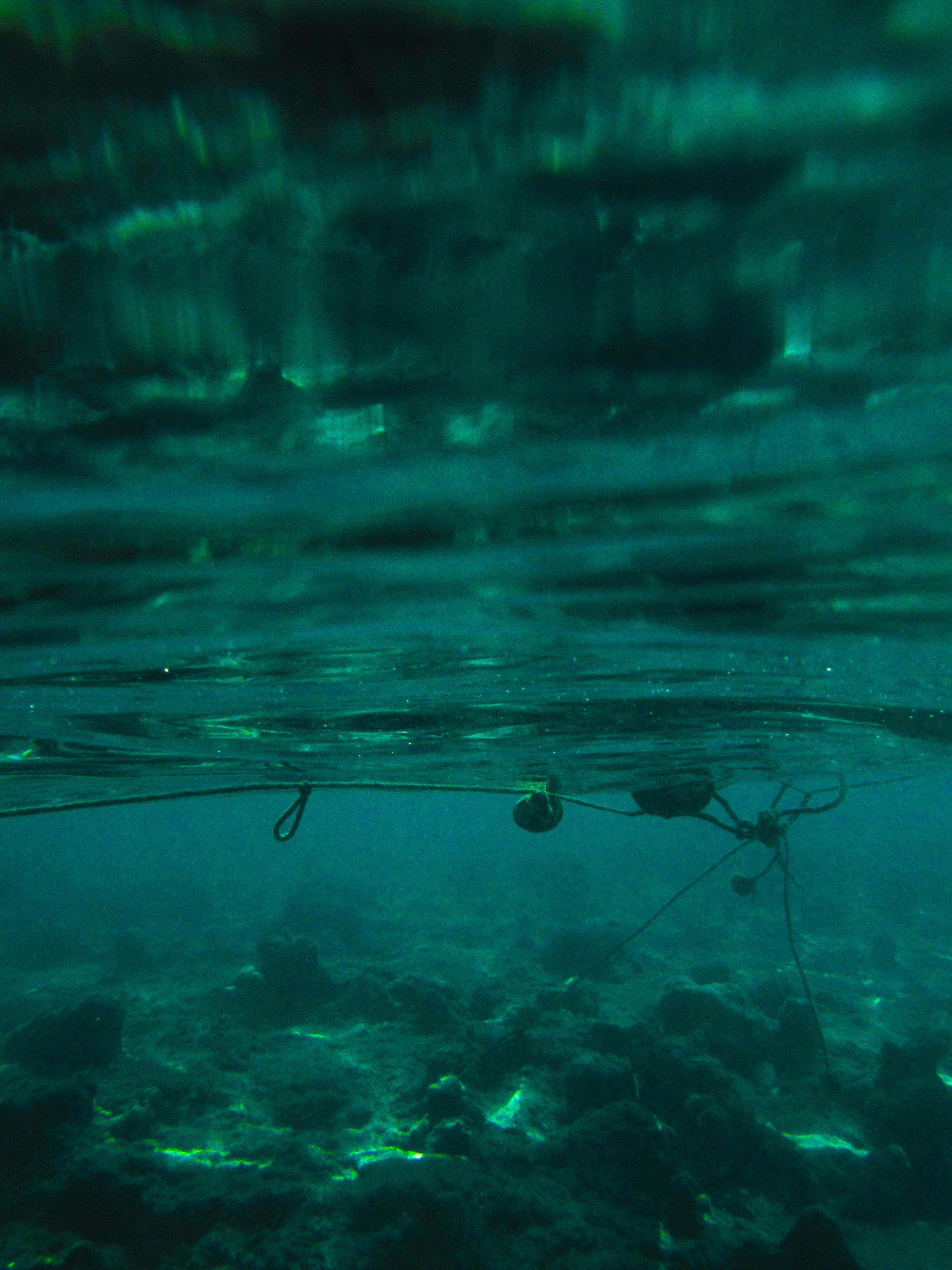 Free stock photo of blue water, deep sea, egypt