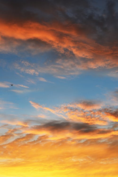 бесплатная Бесплатное стоковое фото с вертикальный выстрел, восход, закат Стоковое фото