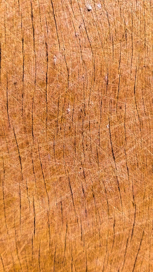 Free stock photo of texture, wood, wooden board